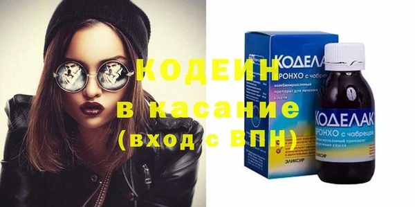 сатива Иннополис
