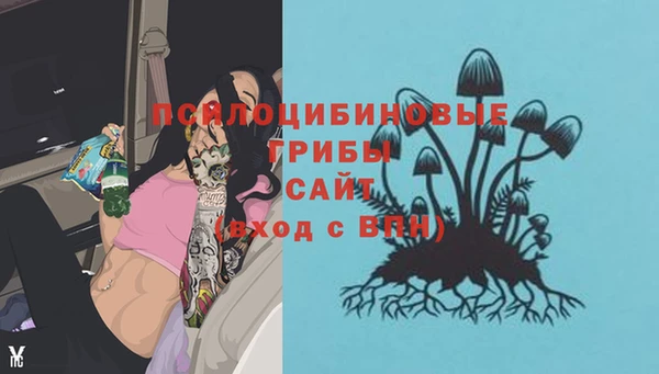 прущая мука Инта