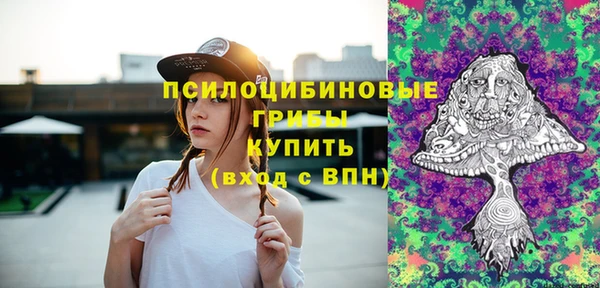 сатива Иннополис