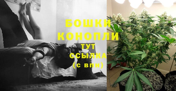 прущая мука Инта