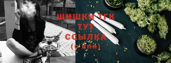 сатива Иннополис