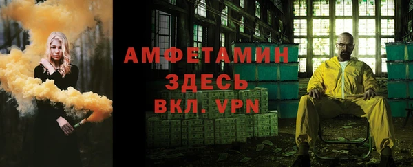 прущая мука Инсар